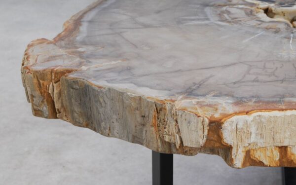 Coffee table petrified wood 53209