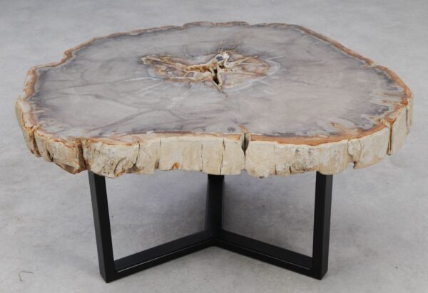 Coffee table petrified wood 53210