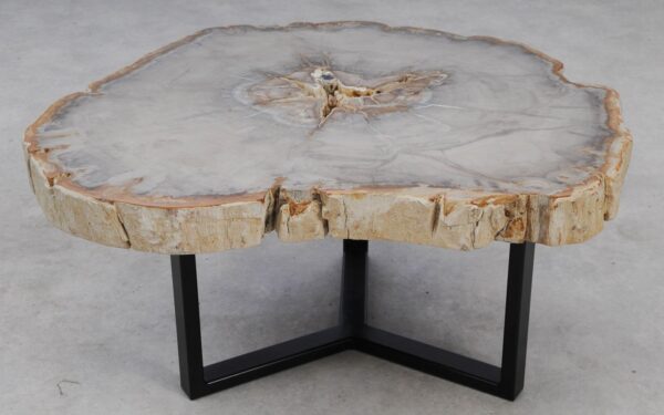 Coffee table petrified wood 53211