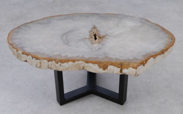 Coffee table petrified wood 53213