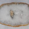 Coffee table petrified wood 53214