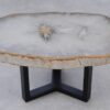 Coffee table petrified wood 53214