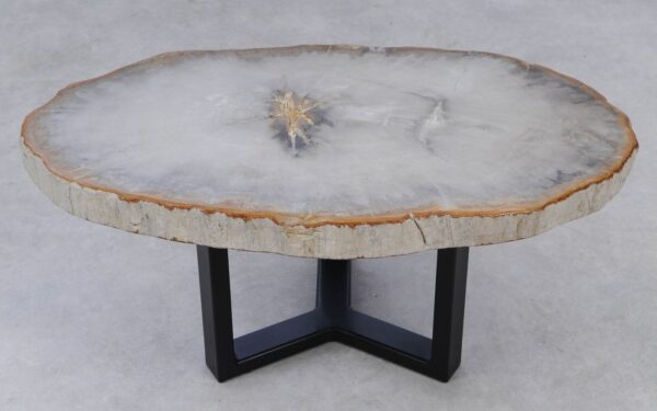 Coffee table petrified wood 53214