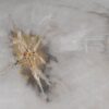 Coffee table petrified wood 53214