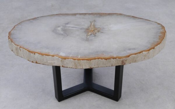 Coffee table petrified wood 53215
