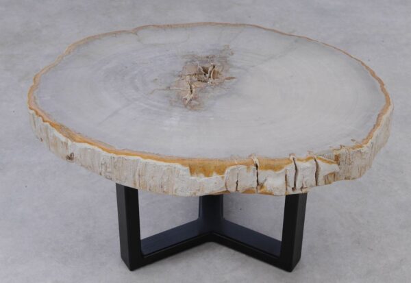 Coffee table petrified wood 53216