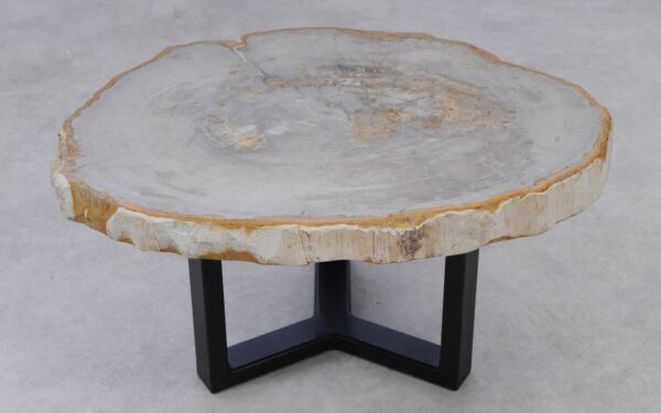 Coffee table petrified wood 53217