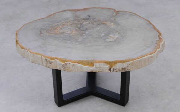 Coffee table petrified wood 53219