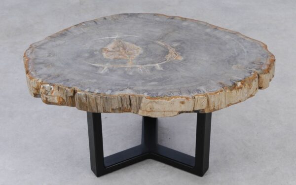 Coffee table petrified wood 53220