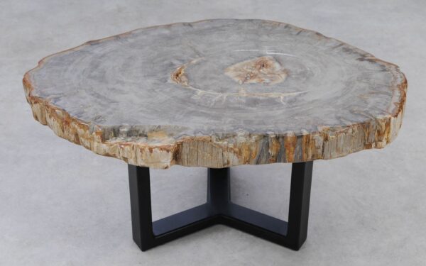 Coffee table petrified wood 53221