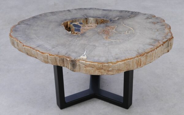 Coffee table petrified wood 53223