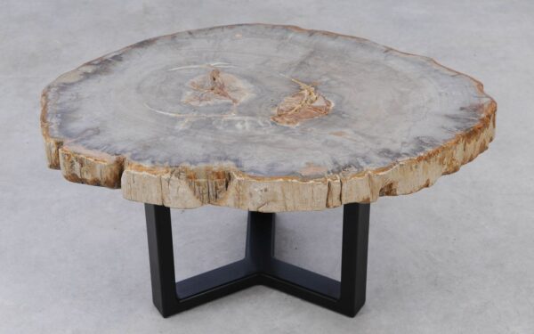 Coffee table petrified wood 53224