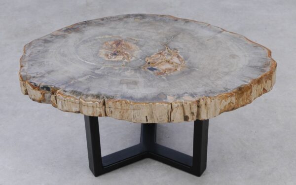 Coffee table petrified wood 53225