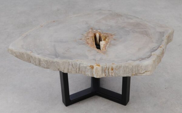 Coffee table petrified wood 53226