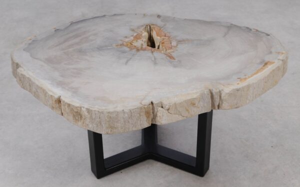 Coffee table petrified wood 53227