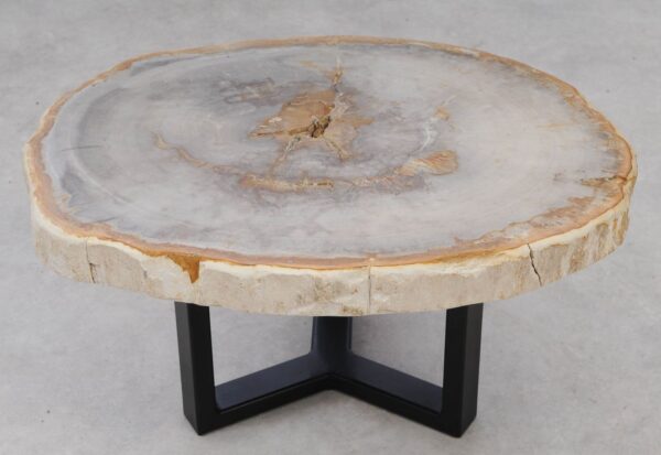 Coffee table petrified wood 53230