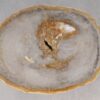 Coffee table petrified wood 53231