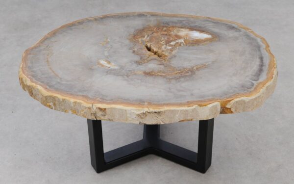 Coffee table petrified wood 53231