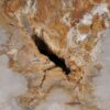 Coffee table petrified wood 53231