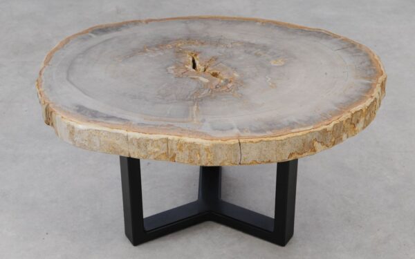 Coffee table petrified wood 53232