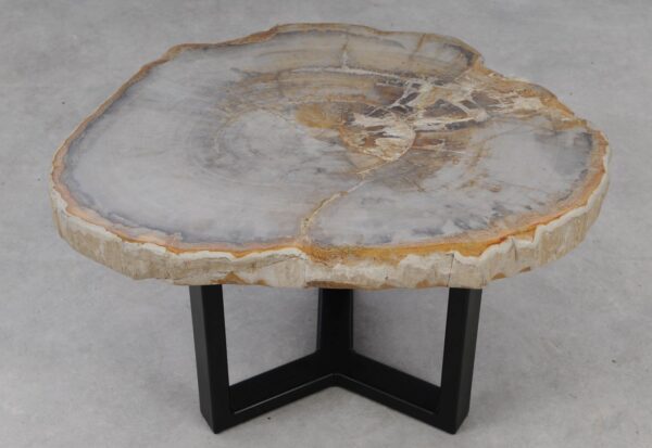 Coffee table petrified wood 53233