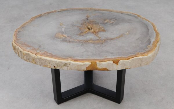 Coffee table petrified wood 53235