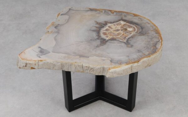 Coffee table petrified wood 53236