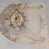 Coffee table petrified wood 53237