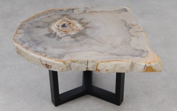 Coffee table petrified wood 53237