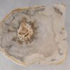 Coffee table petrified wood 53240