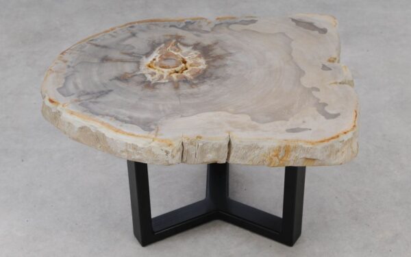 Coffee table petrified wood 53240