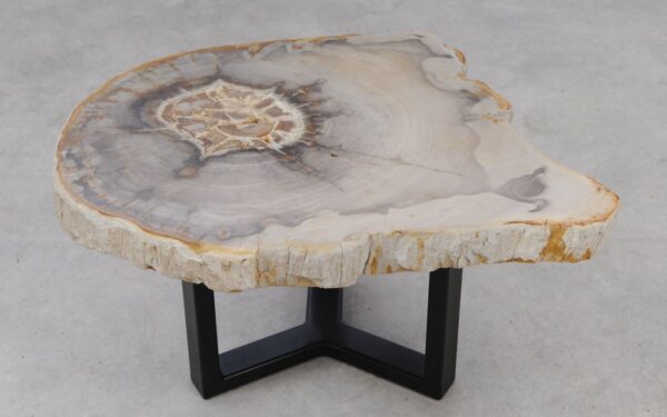 Coffee table petrified wood 53241