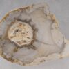 Coffee table petrified wood 53242