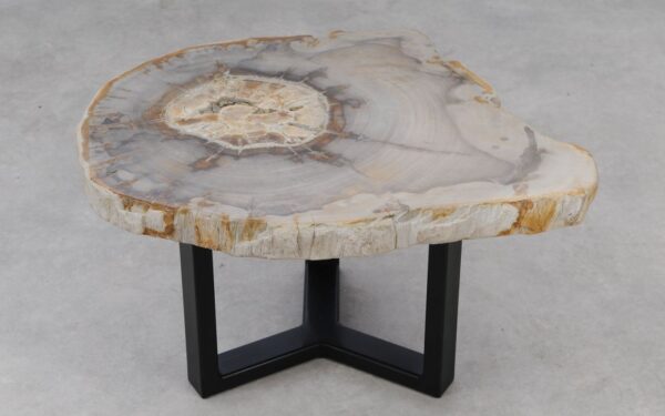 Coffee table petrified wood 53242