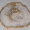 Coffee table petrified wood 53246