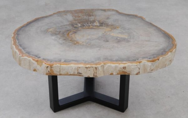 Coffee table petrified wood 53246