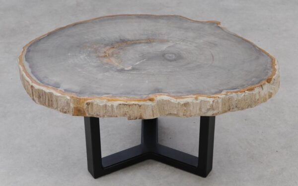 Coffee table petrified wood 53247