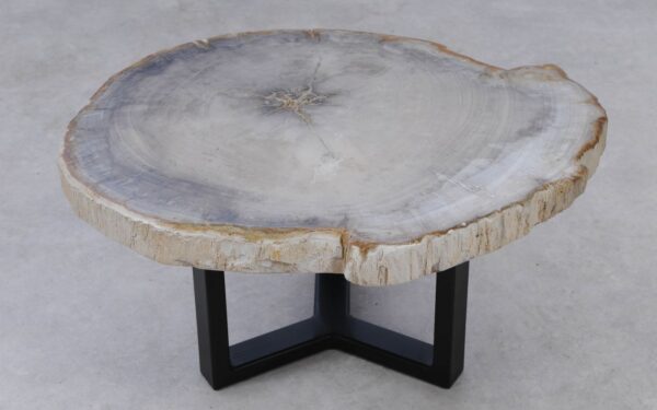Coffee table petrified wood 53250