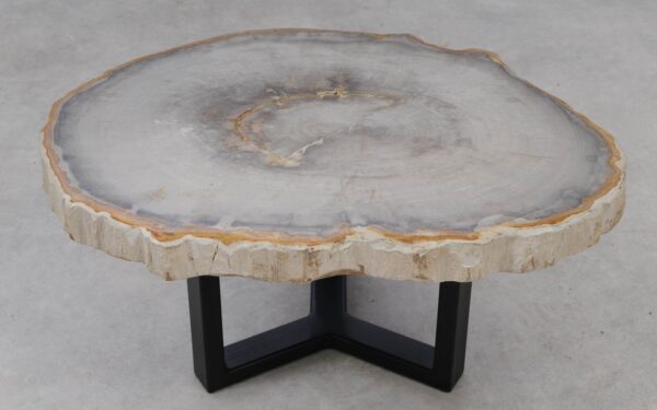 Coffee table petrified wood 53251