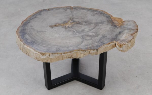 Coffee table petrified wood 53252