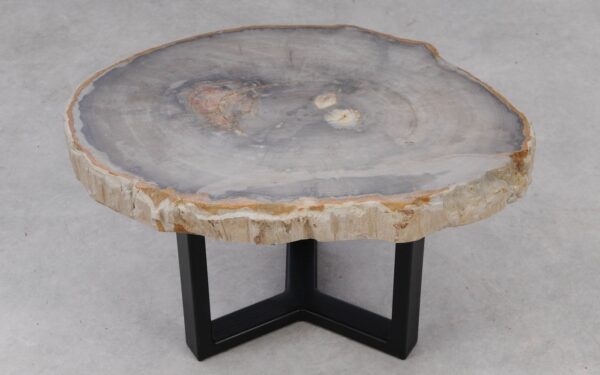Coffee table petrified wood 53253