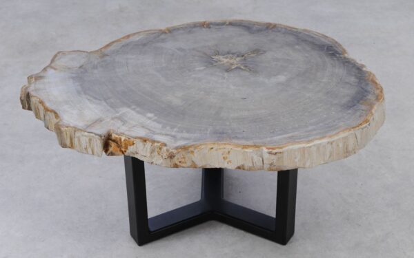 Coffee table petrified wood 53256