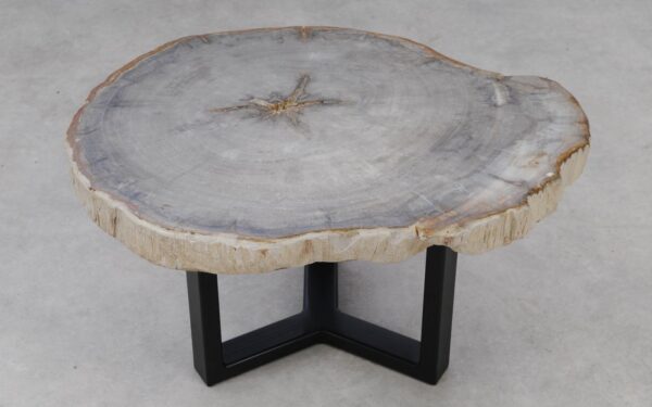 Coffee table petrified wood 53257