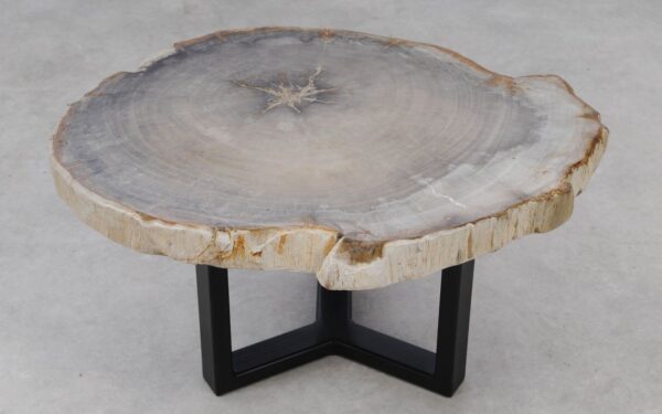 Coffee table petrified wood 53258