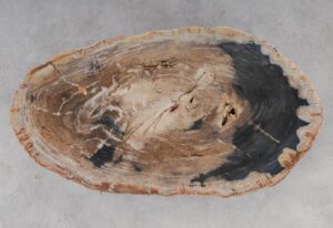 Coffee table petrified wood 53264