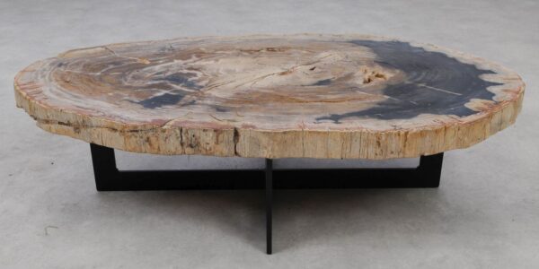 Coffee table petrified wood 53264