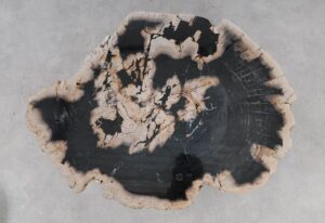 Coffee table petrified wood 53270