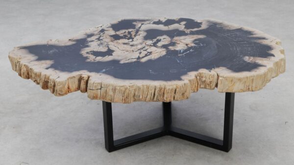 Coffee table petrified wood 53270