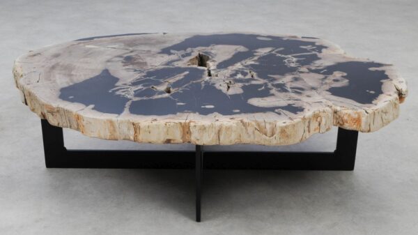 Coffee table petrified wood 53280