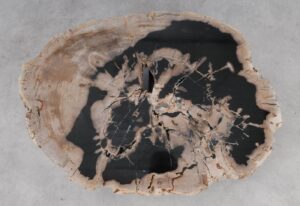 Coffee table petrified wood 53281